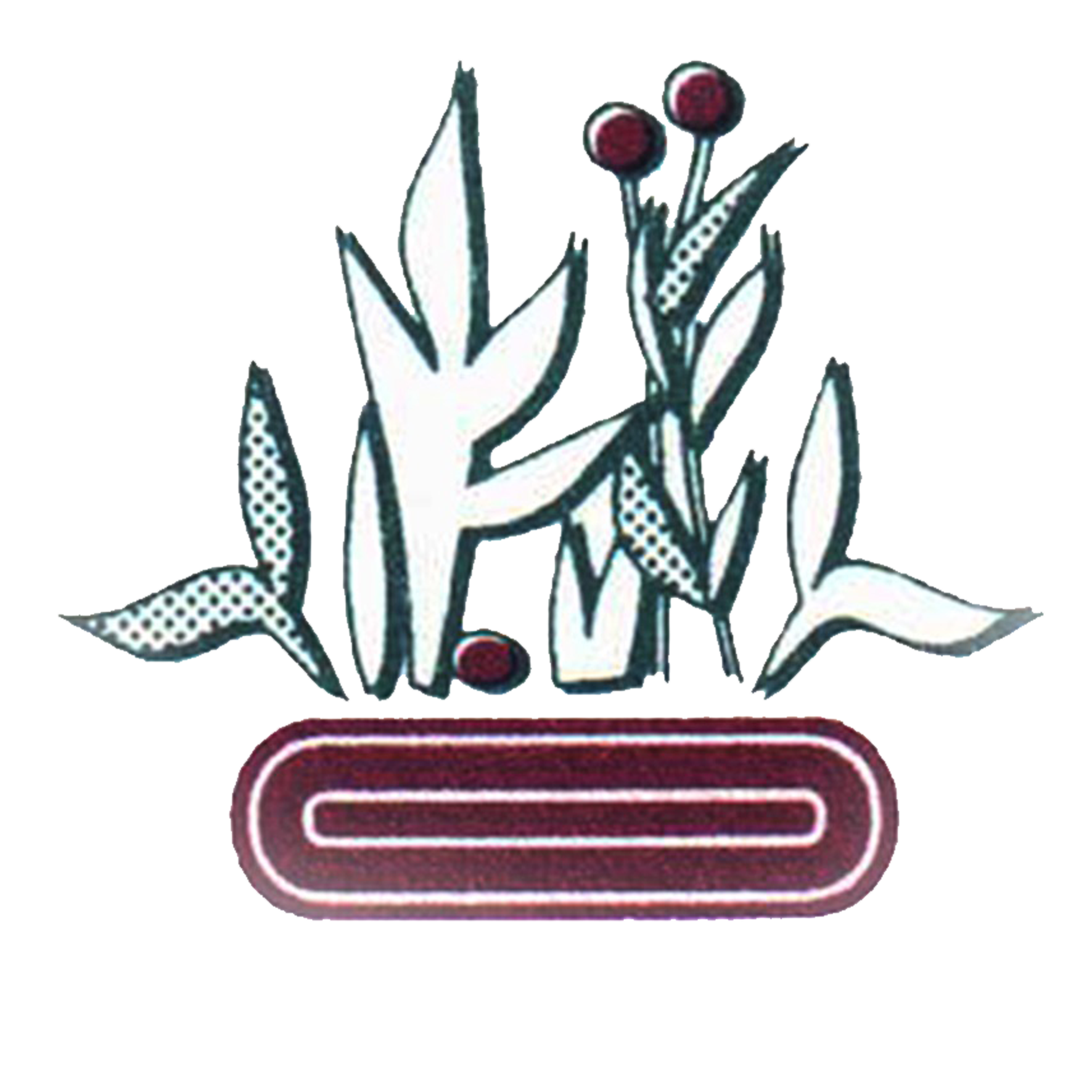 לוגו ללא כיתוב